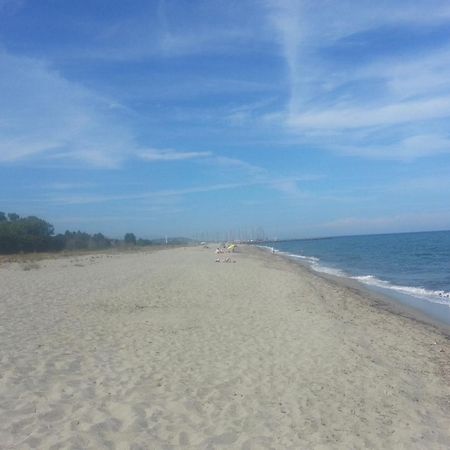 Appartements Bord De Mer - Acces Prive A La Plage Prunete Εξωτερικό φωτογραφία