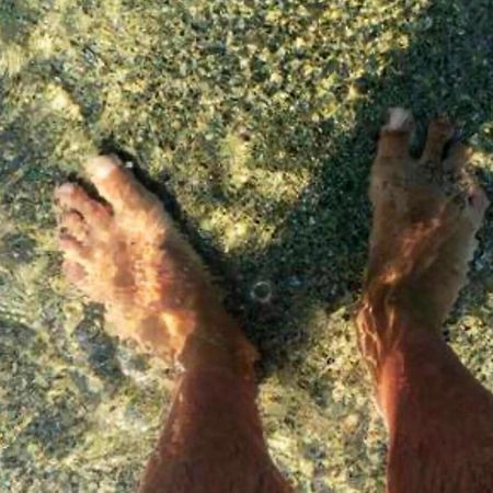 Appartements Bord De Mer - Acces Prive A La Plage Prunete Εξωτερικό φωτογραφία