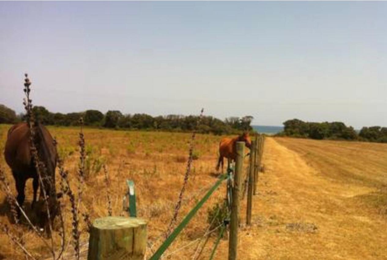 Appartements Bord De Mer - Acces Prive A La Plage Prunete Εξωτερικό φωτογραφία