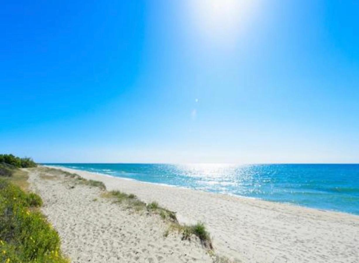 Appartements Bord De Mer - Acces Prive A La Plage Prunete Εξωτερικό φωτογραφία