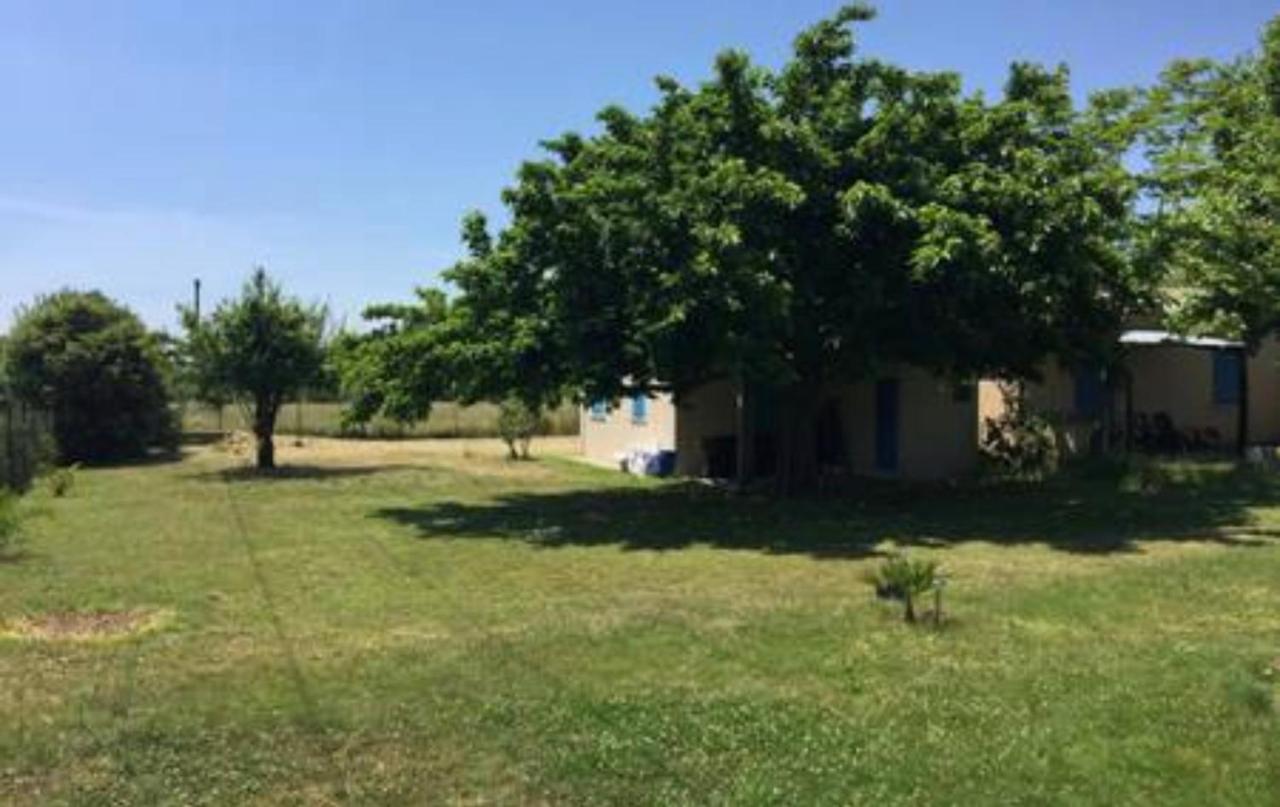 Appartements Bord De Mer - Acces Prive A La Plage Prunete Εξωτερικό φωτογραφία