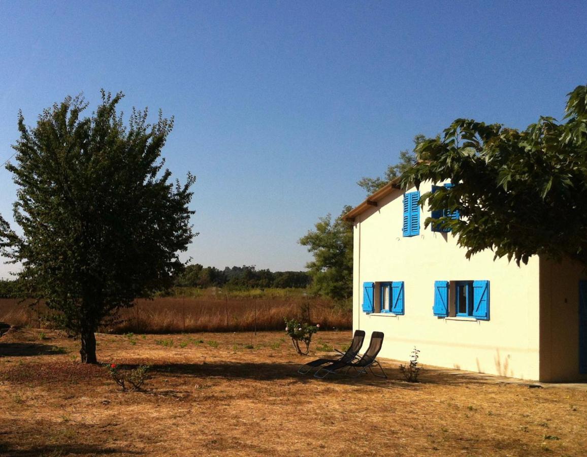 Appartements Bord De Mer - Acces Prive A La Plage Prunete Εξωτερικό φωτογραφία