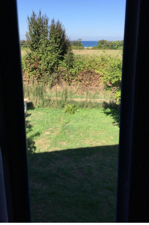 Appartements Bord De Mer - Acces Prive A La Plage Prunete Εξωτερικό φωτογραφία